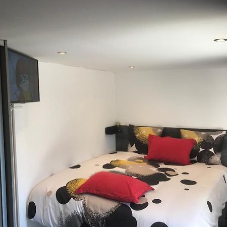 Appartement Majolaine Stade à Meyzieu Extérieur photo