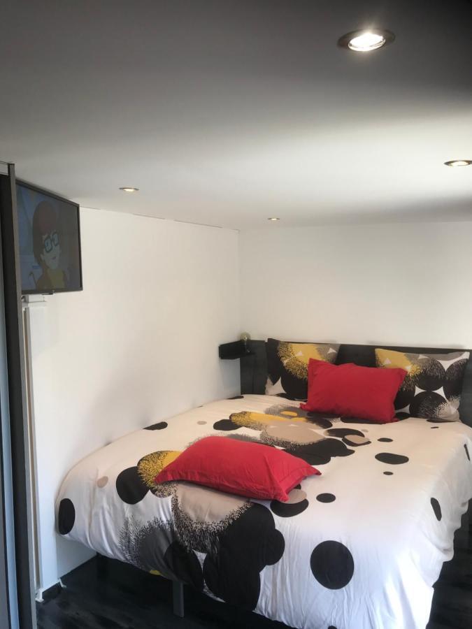 Appartement Majolaine Stade à Meyzieu Extérieur photo